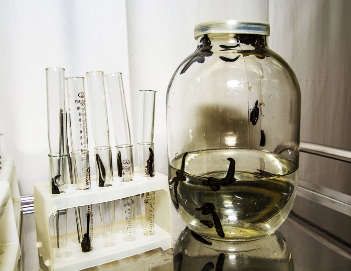 Оздоровительные услуги - Санаторий «им. Кирова» Пятигорск